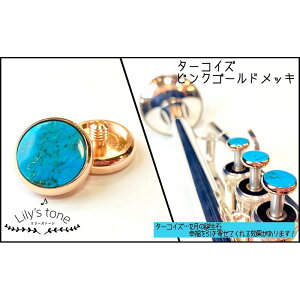 [Yg[ / }np gybg sXg {^ ^[RCY sNS[hbLdグ 3 (1Zbg) Lily's tone (Vi)