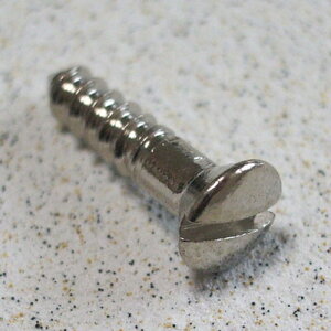 Inch TL pickguard screws (10�{����)[931] Montreux (�V�i)