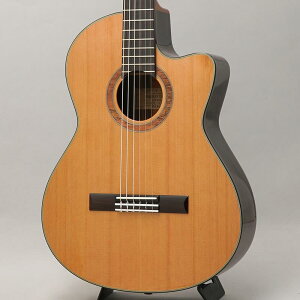 CTM CE-3D Select Cedar Top `Ikebe Original Order Model` KC K.Yairi (Vi)