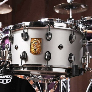 ACMP4800LPG [Artist Collection Aquiles Priester PsychOctopus Snare14×8] MAPEX (�V�i)