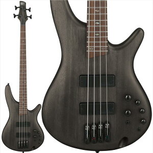 SR500A-TGF Ibanez (�V�i)