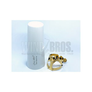 ogTbNXpK`[ iMT Yany SIXS (j[EVNXj YANAGISAWA (Vi)