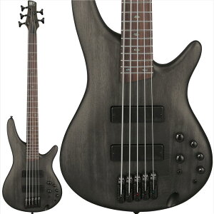 SR505A-TGF Ibanez (�V�i)