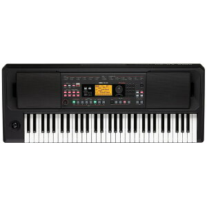 EK-50L(Limitless)������E���������ʓr�������ς� KORG (�V�i)