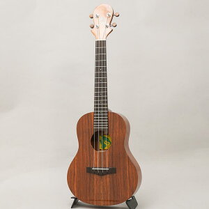 KT-TR rbOACh BIG ISLAND (Vi)