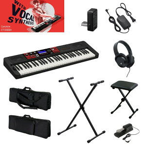 CT-S1000VyGg[ZbgDz(dqsAm) CASIO (Vi)