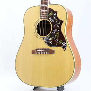 CTM Hummingbird Original Cocobolo Gibson (�V�i)