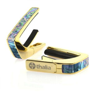 �y�V���i�zExotic Shell Series 24KG Prism Abalone �^���A�J�| Thalia Capo (�V�i)