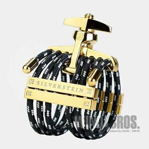 y񂹕izuHG503Av\vmTbNXo[pK`[ Vo[X^C5 wLT VpS[h S.Sax Medium Silverstein (Vi)