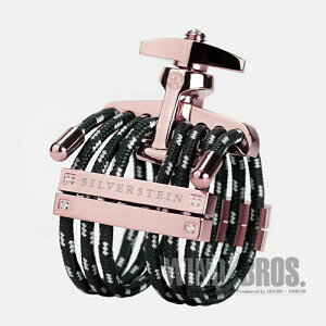 y񂹕izuHR507AvAgTbNXo[pK`[ Vo[X^C5 wLT [YS[h A.Sax Small Silverstein (Vi)