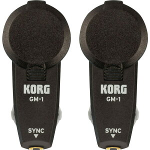 zB GM-1 / 2Zbg [e|\ȃCz^gm[ ] KORG (Vi)