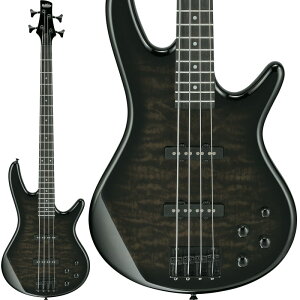 zB GSR280QA-TKS Ibanez (Vi)