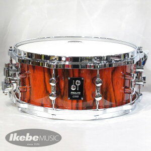 PL-1406SDWD FRD [PROLITE Series Maple 14×6 Die-Cast Hoop / t@CA[Ebh] SONOR (Vi)