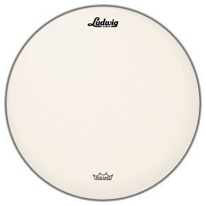 �y2026�N1���ȍ~���ח\��zLW118RAC [Coated Ambassador 18''] Ludwig (�V�i)