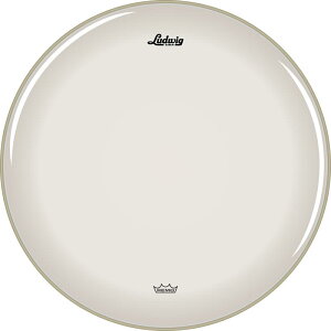 �y2026�N1���ȍ~���ח\��zLW1318P3CLR [POWERSTROKE 3 Clear 18''] Ludwig (�V�i)