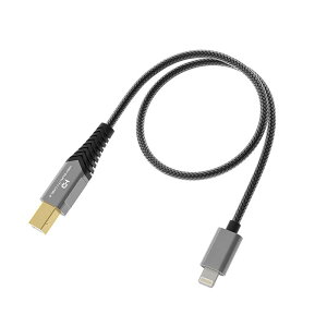 LD-LT1 (�t�B�[�I)(50cm)(USB Type B to Lightning)(DA�R���o�[�^�[)(�f�[�^�]���P�[�u��)(USB2.0)(FIO-LD-LT1) FiiO (�V�i)