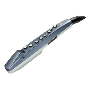 Aerophone mini AE-01 Roland (Vi)