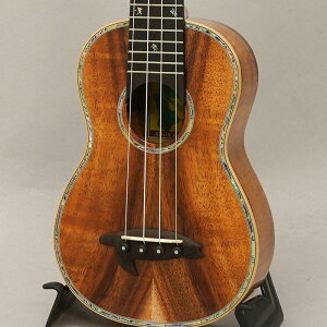 KX-SPG rbOACh BIG ISLAND (Vi)