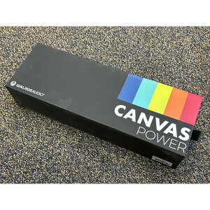 zB yWzCanvas Power 22 (dA_v^[t)ip[TvCj WALRUS AUDIO (AEgbg Vi)