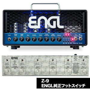 Steve Morse Signature 20 [E658] & Z-9 tbgXCb` ZbgiXeB[u[Y GOj ENGL (Vi)