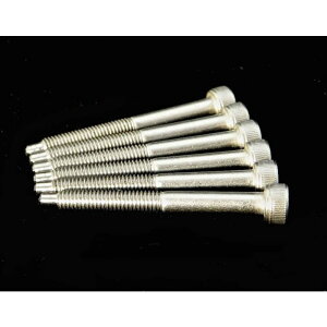 y񂹕izStainless String Lock Screw Set (6) FU-Tone (Vi)