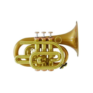 �L�������u���X / N3002 Arturo Sandoval �yBb �|�P�b�g�g�����y�b�g�z�y�o�בO�����ň��S�z CAROL BRASS (�V�i)