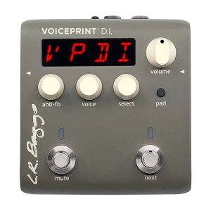 VOICEPRINT D.I. LRobNX L.R.Baggs (Vi)