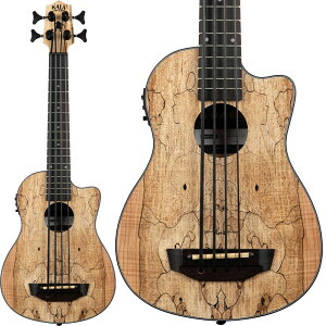 UBASS-SP-MAPL-FS [ENx[X] KALA (Vi)