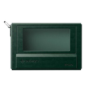NEST-ECHO Green (�O���[��)(�t�B�[�I)(��p�P�[�X)(Snowsky ECHO��p)(���U�[�f��)(FIO-NEST-SSECHO-GR) FiiO (�V�i)
