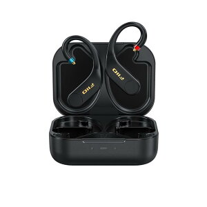 UTWS5 2025 MMCX (�t�B�[�I)(���C�����X�C���z��)(���P�[�u��)(Bluetooth)(�h��)(FIO-UTWS5-25-MMCX) FiiO (�V�i)