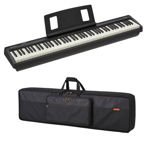 FP-10P[XZbg(Aꕔւ̂͂͑ʓrς)(s)(dqsAm) Roland (Vi)