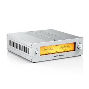 WARMER R2R Silver (�V���o�[)(�t�B�[�I)(DAC)(�^��ǃo�b�t�@�[)(�z�[���I�[�f�B�I)(VU���[�^�[)(JJ Electronic E88CC�^���)(FIO-WARMERR-S) FiiO (�V�i)