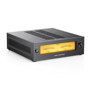 WARMER R2R Black (�u���b�N)(�t�B�[�I)(DAC)(�^��ǃo�b�t�@�[)(�z�[���I�[�f�B�I)(VU���[�^�[)(JJ Electronic E88CC�^���)(FIO-WARMERR-B) FiiO (�V�i)