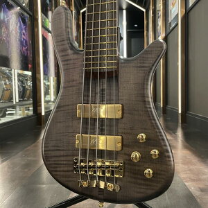 Custom Shop Streamer Stage I 5st (Nirvana Black Transparent Satin/Gold Hardware) Warwick (Vi)