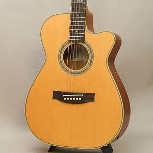 Master Built TE.Personal Cutaway ���C�g�� MATON (�V�i)