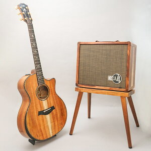 LTD 924ce 50th Anniversary Amp eC[ TAYLOR (Vi)