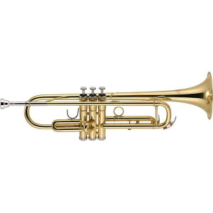 J�}�C�P�� / TR-200 �yBb �g�����y�b�g�z �y�V�i�`���C�L�Y������!!�z�y�匈�Z�Z�[���z J.Michael (�A�E�g���b�g ���i)