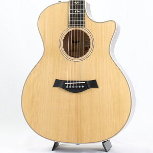 Custom-GA C14ce B4008 [NAMM2024 Model] eC[ TAYLOR (Vi)