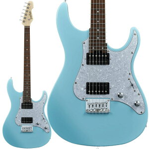 G-SN-45DX (Sonic Blue) Grass Roots (Vi)