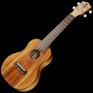 FGN Acoustic FUS-TC [Concert] tWQ FUJIGEN (Vi)