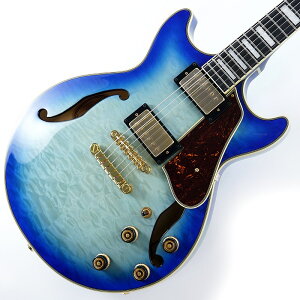 Artcore Expressionist AM93QM-JBB Ibanez (Vi)
