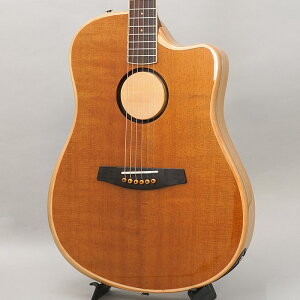 AEG-1 TOR エルアールバッグス L.R.Baggs (新品)