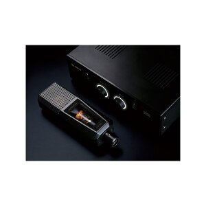 �y End of Year Promotion 2025�I�zLCT940 (FET�E�^��ǃn�C�u���b�h�E�R���f���T�[�}�C�N)(���[�C�b�g) LEWITT (�V�i)