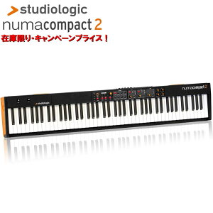 zB yňSALEzNuma Compact 2 yY݌ɌI20OFFLy[+5OFFZ[z (ԁE88EyʃL[{[h) X^WIWbN zvmF Studiologic (Vi)