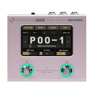 zB yʌʉizAMPERO MINI Purple Taro HOTONE (Vi)