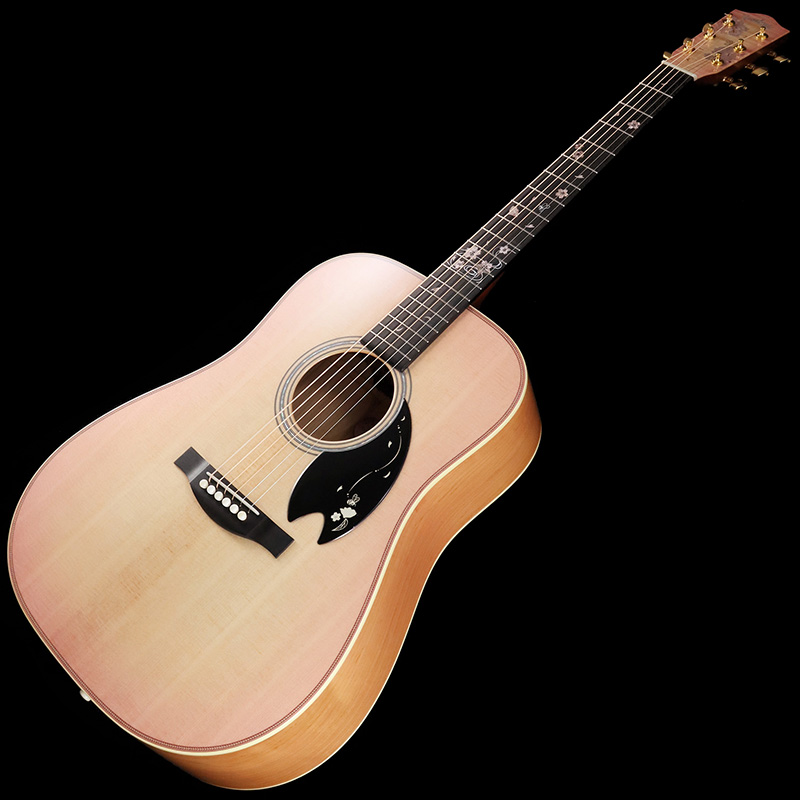 ヘッドウェイ アコースティック ギターの人気商品・通販・価格比較 