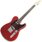 SCHECTER（シェクター）エレキギター IKEBE ORDER Progauge Series PS-TE-IK (Red Tint/Rosewood)
