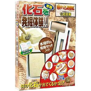 化石 セット 知育玩具の人気商品 通販 価格比較 価格 Com