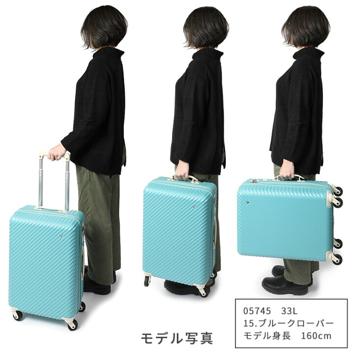 楽天市場】ハント マイン 33L キャスターカバー付き 【機内持ち込み  