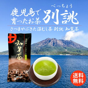 ܂Ԃ o 100g m [    [ Y Y   [ o { { Β N t JeL Mtg v[g hV 40 